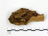 登錄號:F0021416藏品圖，第1張