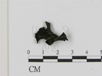 登錄號:F0021417藏品圖，第3張