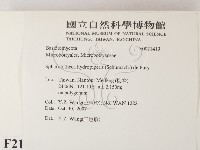登錄號:F0021419藏品圖，第2張