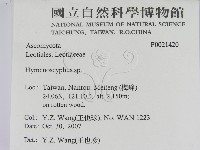 登錄號:F0021420藏品圖，第2張