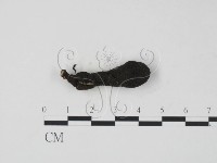 登錄號:F0021422藏品圖，第1張