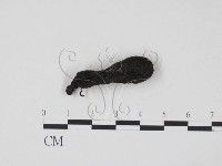 登錄號:F0021422藏品圖，第3張