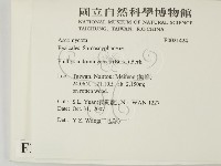 登錄號:F0021424藏品圖，第2張