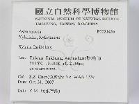 登錄號:F0021426藏品圖，第2張