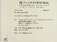 登錄號:F0021427藏品圖，第2張