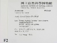 登錄號:F0021428藏品圖，第2張