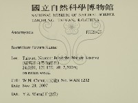 登錄號:F0021429藏品圖，第2張