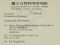 登錄號:F0021430藏品圖，第2張