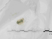登錄號:F0021430藏品圖，第3張