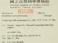 登錄號:F0021431藏品圖，第2張