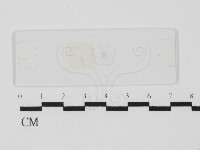 登錄號:F0021431藏品圖，第1張