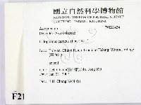 登錄號:F0021434藏品圖，第2張