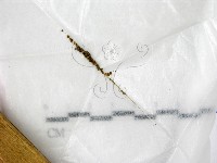 登錄號:F0021434藏品圖，第1張