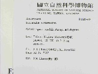 登錄號:F0021435藏品圖，第2張