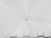 登錄號:F0021439藏品圖，第1張