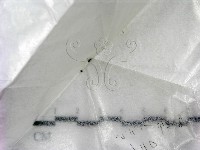 登錄號:F0021439藏品圖，第3張