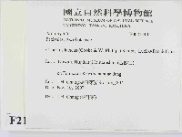 登錄號:F0021440藏品圖，第2張