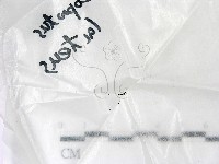 登錄號:F0021440藏品圖，第3張