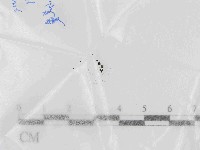 登錄號:F0021444藏品圖，第1張