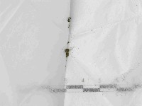 登錄號:F0021446藏品圖，第1張