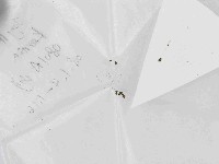 登錄號:F0021448藏品圖，第1張