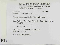 登錄號:F0021449藏品圖，第2張