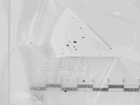 登錄號:F0021449藏品圖，第1張