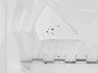 登錄號:F0021449藏品圖，第3張