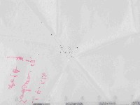 登錄號:F0021450藏品圖，第1張