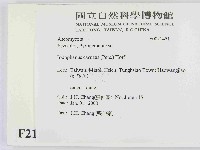登錄號:F0021451藏品圖，第2張