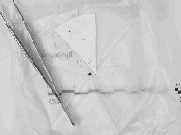 登錄號:F0021453藏品圖，第1張