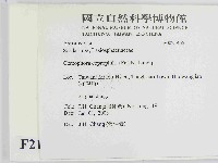 登錄號:F0021455藏品圖，第2張