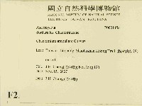 館號:F0021456藏品圖，第2張