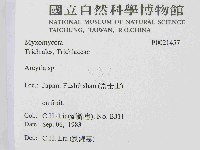 登錄號:F0021457藏品圖，第2張