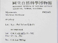 登錄號:F0021458藏品圖，第2張
