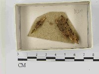 登錄號:F0021458藏品圖，第1張