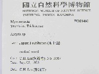 登錄號:F0021460藏品圖，第2張