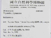 登錄號:F0021461藏品圖，第2張