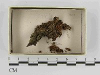 登錄號:F0021461藏品圖，第1張