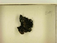 登錄號:F0021462藏品圖，第3張