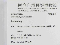 登錄號:F0021464藏品圖，第2張