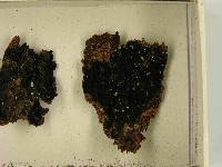 登錄號:F0021464藏品圖，第3張