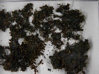 登錄號:F0021465藏品圖，第3張