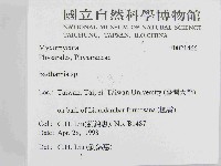 登錄號:F0021466藏品圖，第2張