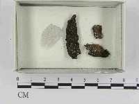 登錄號:F0021466藏品圖，第1張