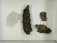 登錄號:F0021466藏品圖，第3張