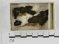 登錄號:F0021467藏品圖，第1張