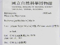 登錄號:F0021468藏品圖，第2張