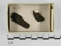 登錄號:F0021468藏品圖，第1張