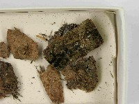 登錄號:F0021469藏品圖，第3張